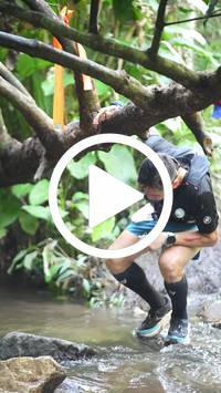 BIB:  <button type="button" onclick="openModal(27528598)" class="btn btn-primary btn-sm float-right" data-toggle="modal" data-target=".modal-high-quality">
                <i class="fa fa-download"></i> Download
                </button>